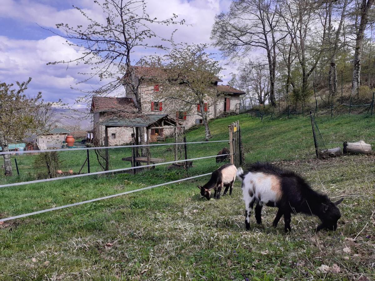 Cà Gennara Agri B&B Porretta Terme Exterior foto