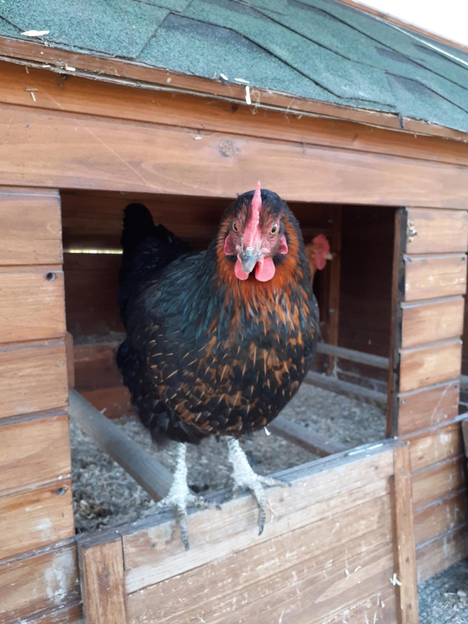 Cà Gennara Agri B&B Porretta Terme Exterior foto